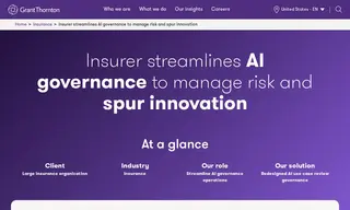 Preview of the Large Insurance Organization Case Study