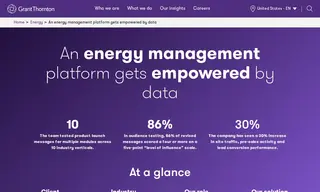 Preview of the Wholesale Energy Provider Case Study