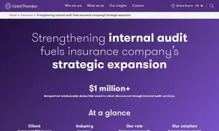 Preview of the Insurer Case Study