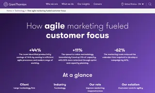 Preview of the Large Technology Firm Case Study