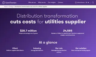 Preview of the Utilities Supplier/distributor Case Study