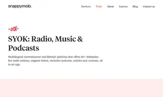 Preview of the Astro Radio Case Study