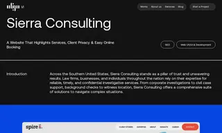 Preview of the Sierra Consulting Case Study