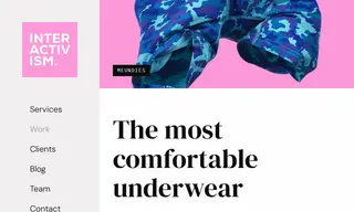 Preview of the MeUndies Case Study