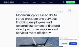 Preview of the United States Air Force Case Study