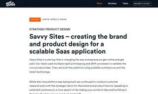 Preview of the Savvy Sites Case Study