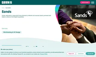 Preview of the Sands Case Study