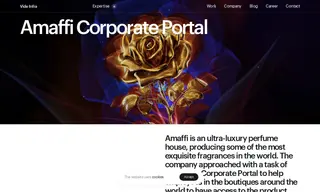 Preview of the Amaffi Case Study