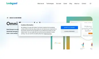 Preview of the Omni Energy Case Study