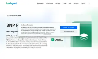Preview of the BNP Paribas Cardif Case Study