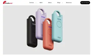 Preview of the She's Birdie Case Study