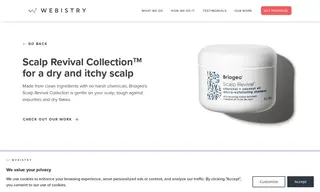 Preview of the Briogeo Case Study