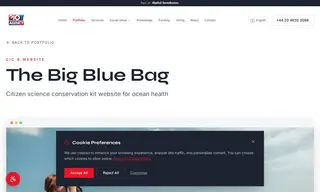 Preview of the The Big Blue Bag CIC Case Study