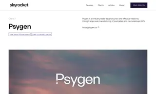 Preview of the Psygen Case Study
