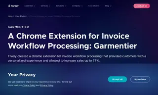 Preview of the Garmentier Case Study