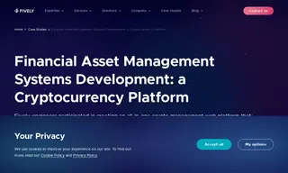Preview of the Modern Fintech Company Located in the USA Case Study