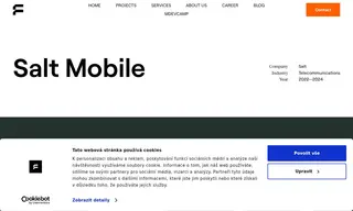 Preview of the Salt Mobile Case Study
