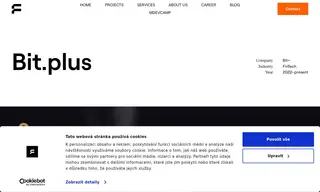 Preview of the Bit.plus Case Study