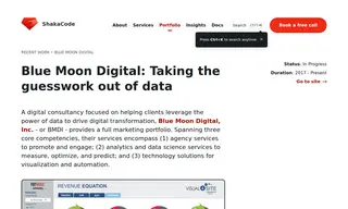 Preview of the Blue Moon Digital Case Study