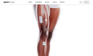 Preview of the Body Dynamics Case Study