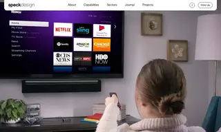 Preview of the Roku, Inc Case Study