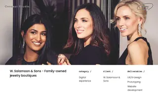 Preview of the W. Salamoon & Sons Case Study