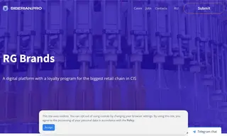 Preview of the RG Brands Case Study