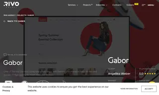 Preview of the Gabor Case Study