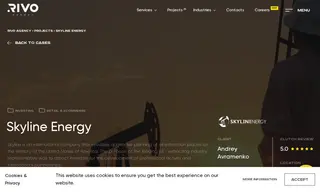 Preview of the Skyline Energy Case Study