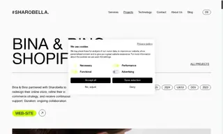Preview of the Bina & Bino Case Study