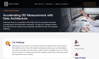 Preview of the Liderança Group, Inc. Case Study
