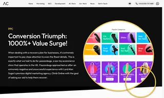 Preview of the Passionbugs Case Study