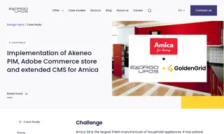 Preview of the Amica SA Case Study