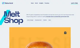 Preview of the Melt Shop Case Study