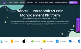 Preview of the Nerveli Case Study