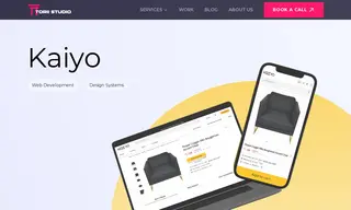 Preview of the Kaiyo Case Study
