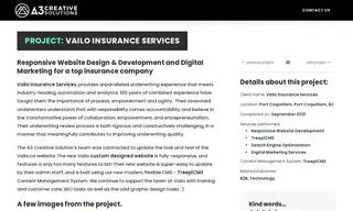 Preview of the Vailo Insurance Services Case Study