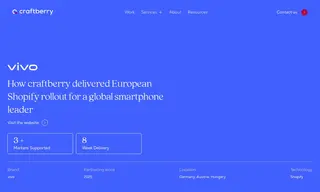 Preview of the Vivo Case Study