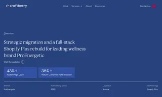 Preview of the ProEnergetic Case Study