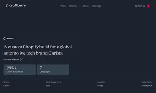 Preview of the Carista Case Study