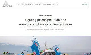 Preview of the Story of Stuff Case Study