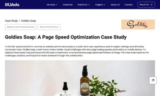 Preview of the Goldies Soap Case Study