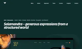 Preview of the Salamandra Case Study