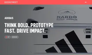 Preview of the Adidas Case Study