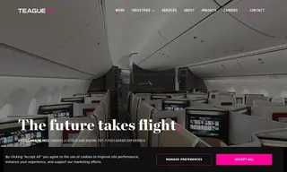 Preview of the American Airlines Case Study