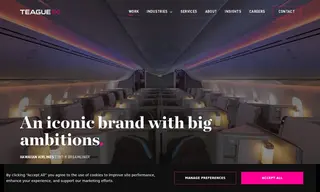 Preview of the Hawaiian Airlines Case Study