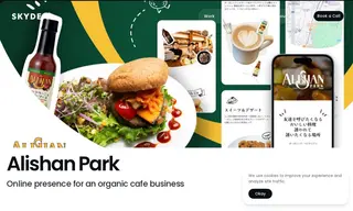 Preview of the Alishan Pty. Ltd Case Study