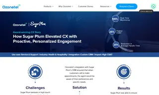 Preview of the Sugar Plum Case Study