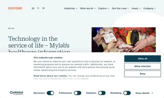Preview of the Mylab Case Study
