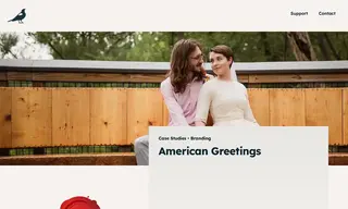 Preview of the American Greetings Case Study